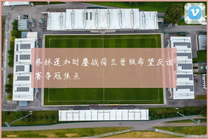弗林蓬加时鏖战荷兰晋级希望友谊赛争冠焦点