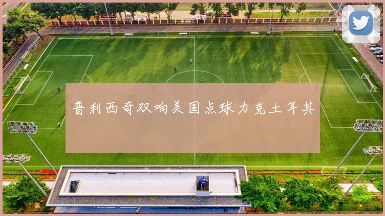 普利西奇双响美国点球力克土耳其