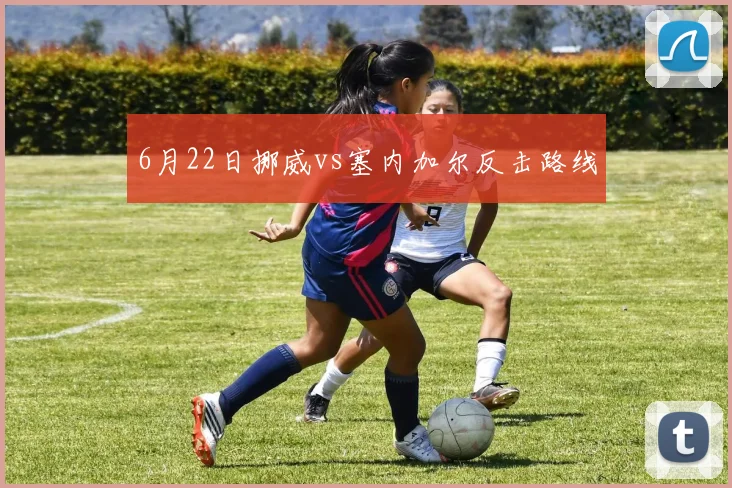 6月22日挪威vs塞内加尔反击路线